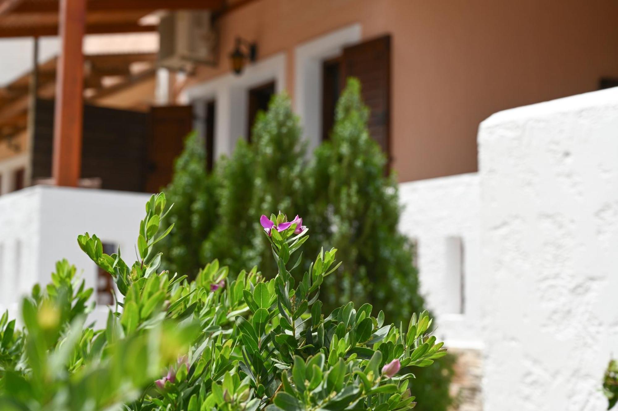 Garden House Xerokampos Daire Xerokampos  Dış mekan fotoğraf